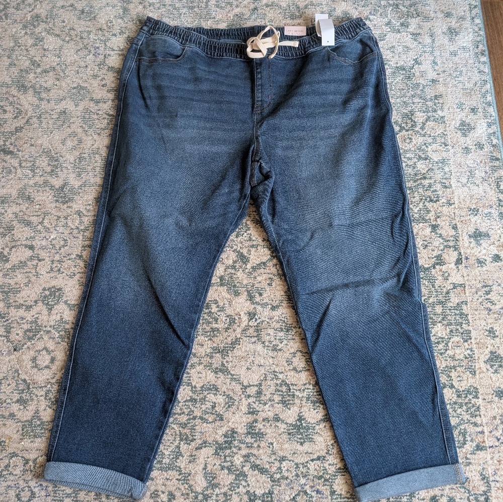 Lane Bryant Ankle Capri With Cute Tie Waist